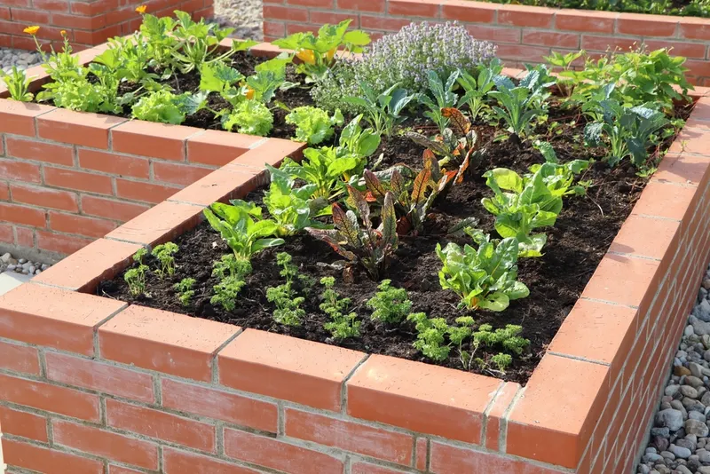 Raised beds in Wetherby