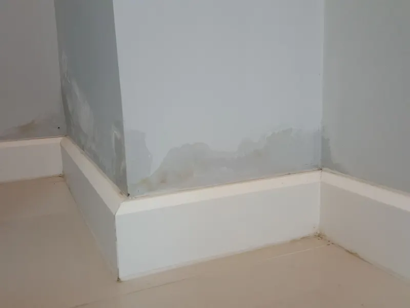 Damp staining at the base of a wall